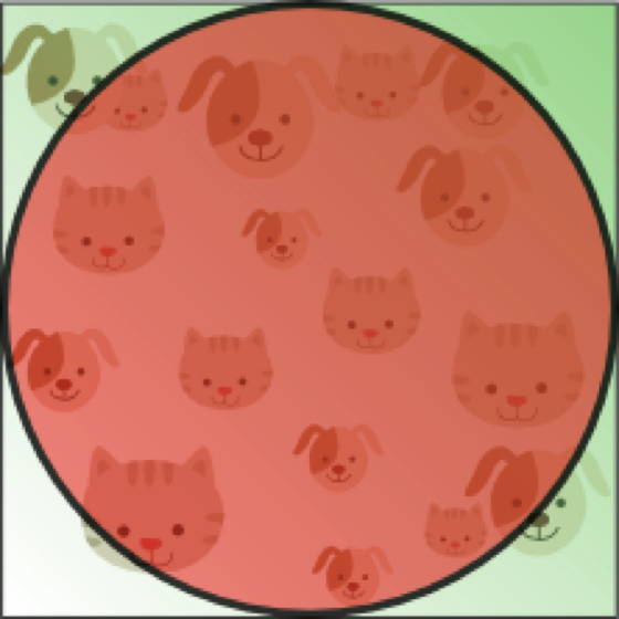 image-20190218155119537