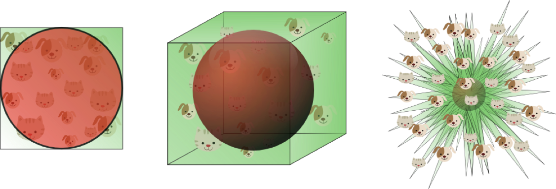 image-20190218155247221