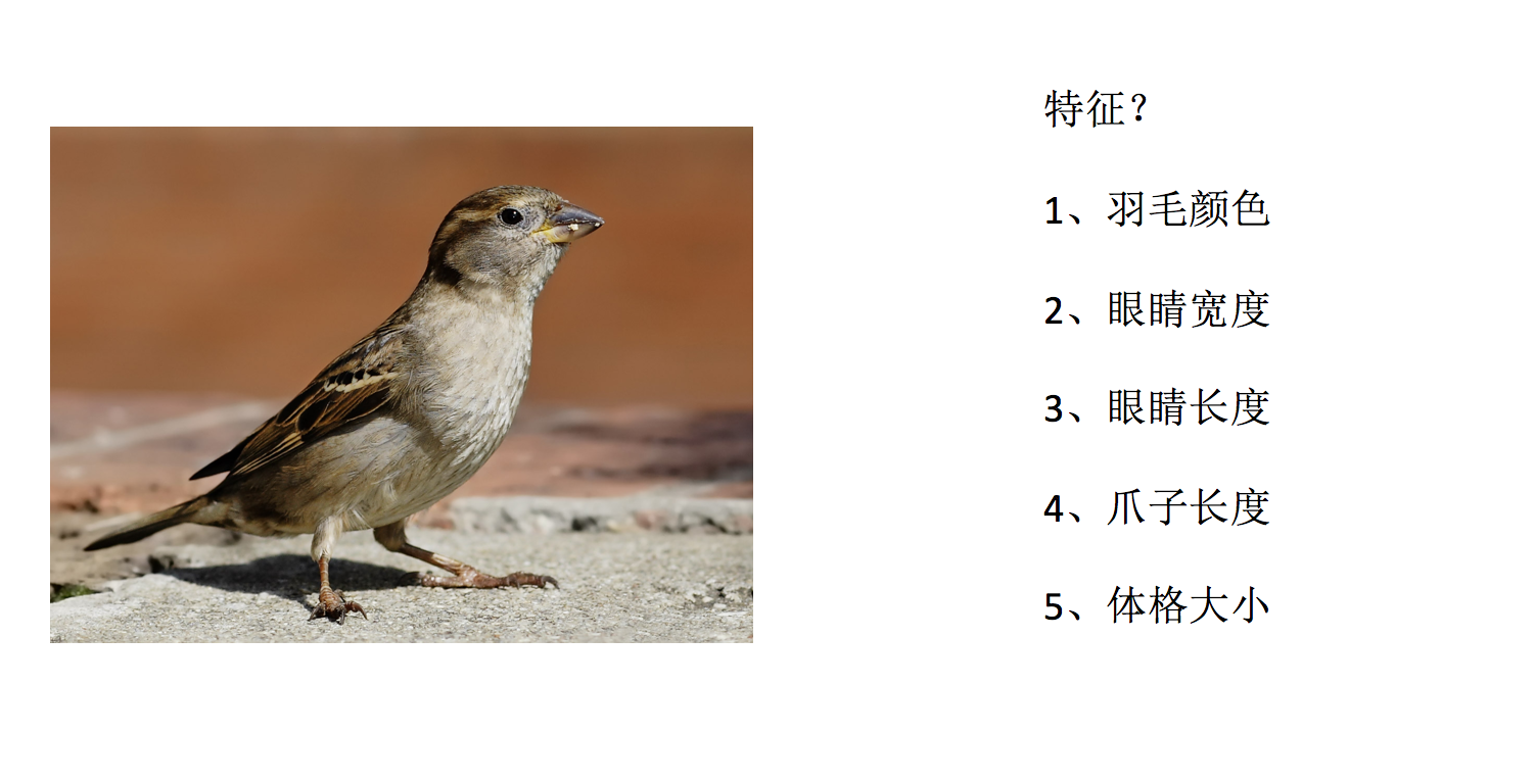 é¸ç±"ç¹å¾éæ©